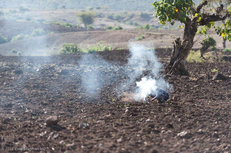 20120403_082027 Nikon D3 (1) 2x3.jpg - Burning the land